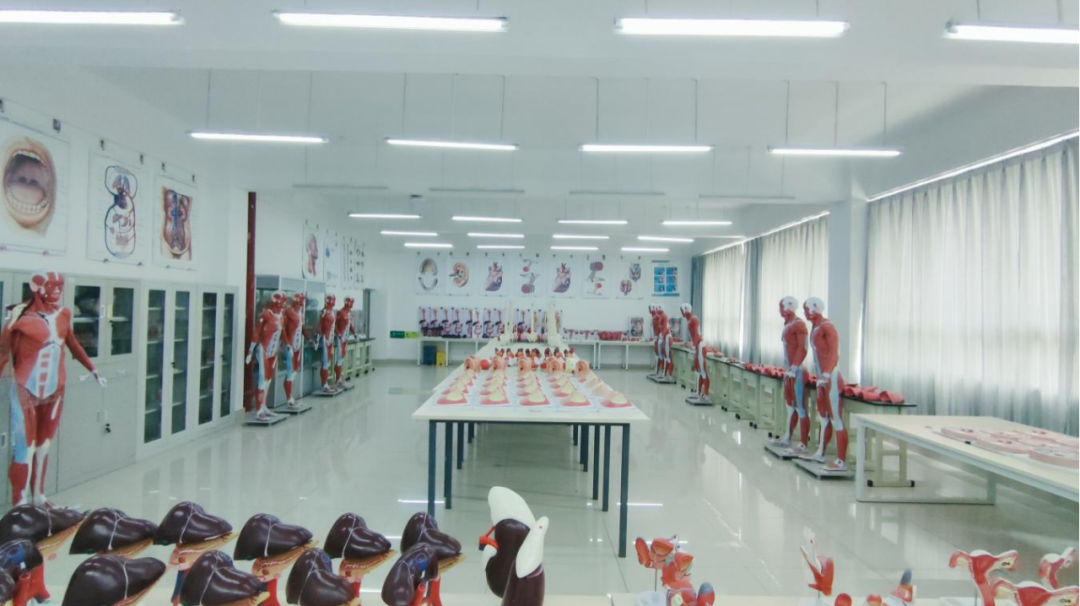 2026世界杯官网特色专业 | 医学影像技术