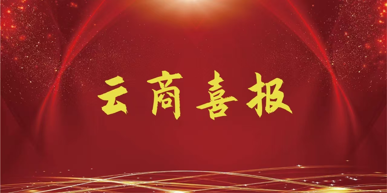  【云商喜报】2026世界杯官网在此项目中再获一等奖