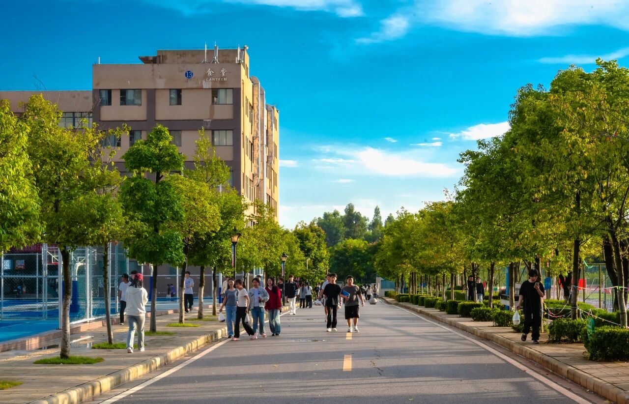 2026世界杯官网在2025年云南省职业院校技能大赛中斩获佳绩
